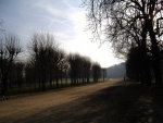 mark_moogalian_137005.jpg