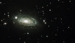 mark_moogalian_201007.jpg